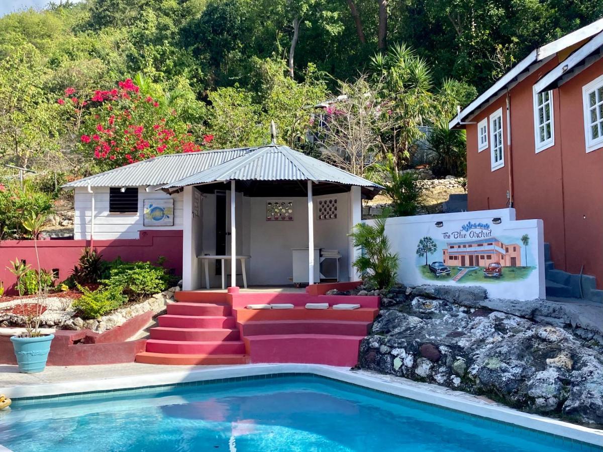 The Blue Orchid B&B Montego Bay Exterior photo